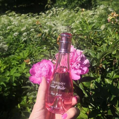 Cool Water Sea Rose Davidoff pro ženy