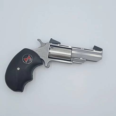 Mini revolver NAA BWCAI ráže .22 WMR + .22LR | Zbraně a střelivo 