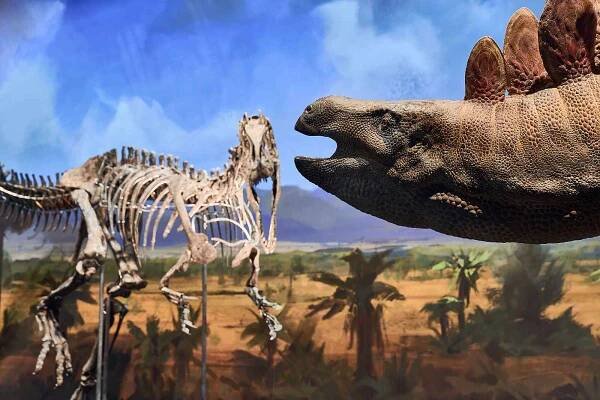 Expozice dinosaurů v Dinosauria Museum Prague