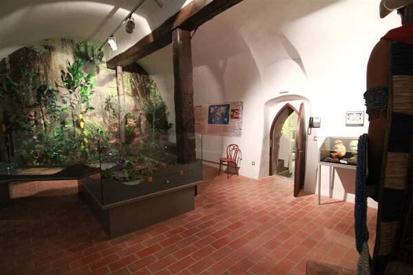 Historie kakaa - Muzeum