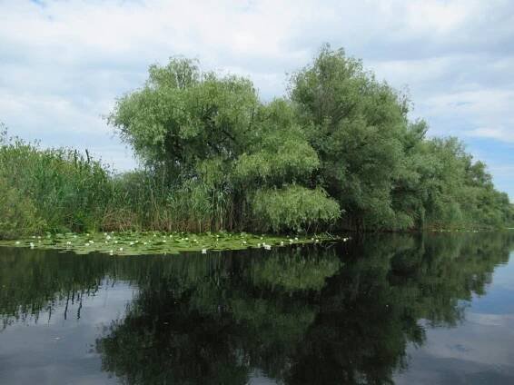 Category:Tulcea County - Wikimedia Commons