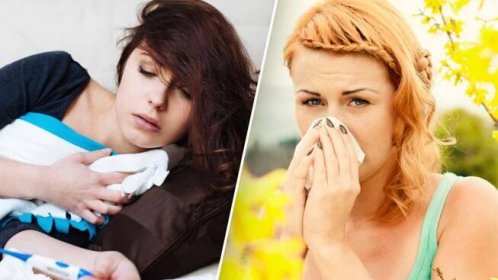 Alergie nebo viróza - jak je od sebe správně rozlišit?