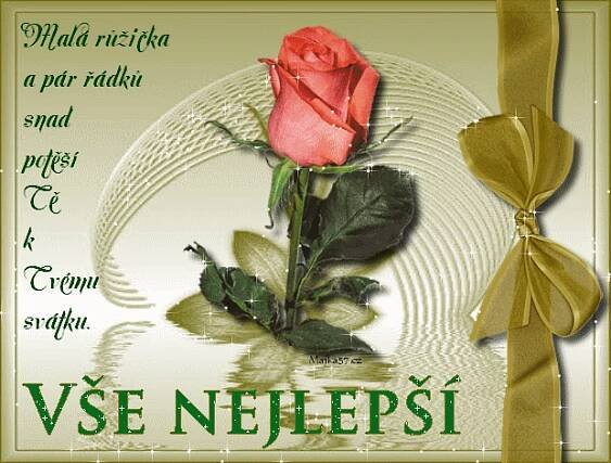 a card with a rose on it and a ribbon around the edge that says, vee neepsi