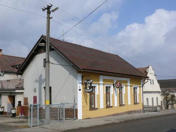 Turovecký les u Tábora ukrývá stovky druhů hub. Kvůli... | Regiony