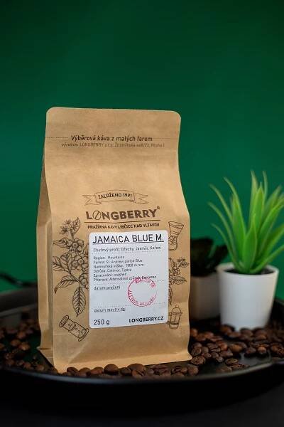 JAMAICA BLUE M.