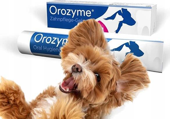 Probiotics International Orozyme Oral Hygiene Gel 70 g