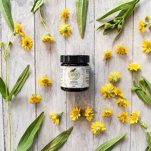 Salves & Infused Oils — Ravensong Seeds & Herbals