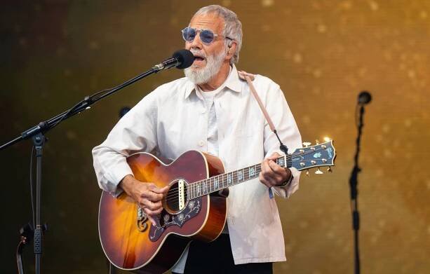 Cat Stevens | Artists | NME.com