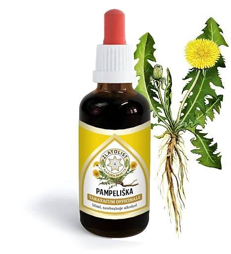 Pampeliška kořen 50ml