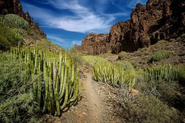 Gran Canaria - TOP 10 věcí co vidět na ostrově kaňonů - Cestování s fotografem