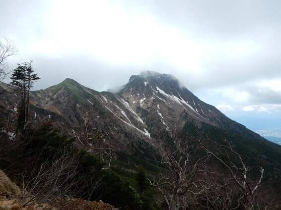 ホテイランとツクモグサを求めて八ヶ岳へ～赤岳・横岳・硫黄岳～2018年6月1-2日 | 英語のじかん/山のじかん