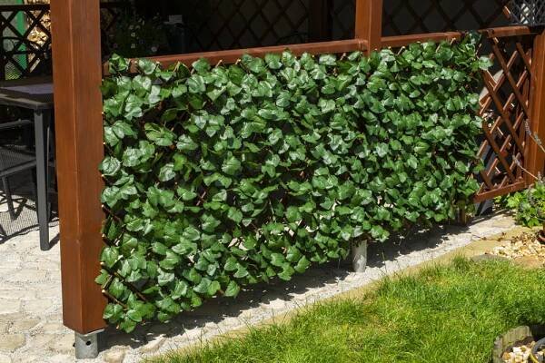Garden King Hedera Flexi 1 x 2 m