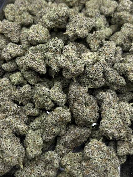 Peyote Cookies - Image 3