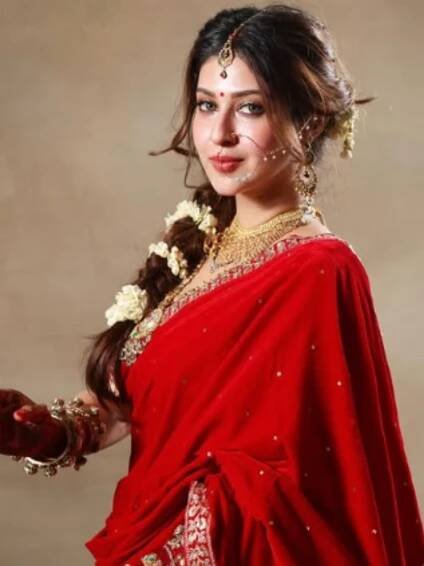 TV's loved Goddess Parvati aka Sonarika Bhadoria's divine saree looks