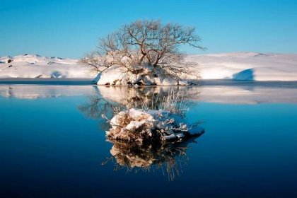 krajina, zima, jezero, strom
