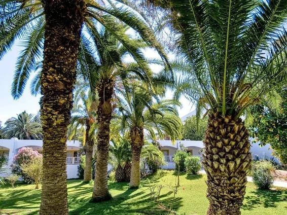 The Orangers Beach Resort & Bungalows 38