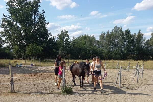 Pobyt červenec 2023 – Jezdecká školka Popelka