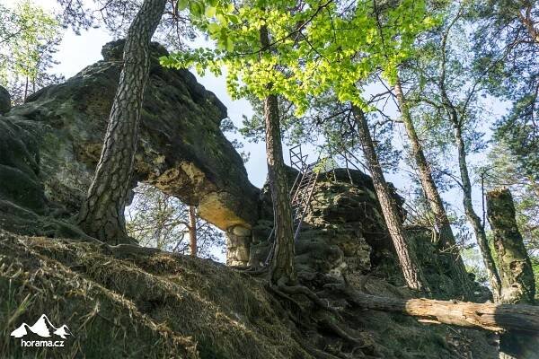 České Švýcarsko přes vyhlídky Jetřichovických stěn a soutěsky Kamenice | Horama
