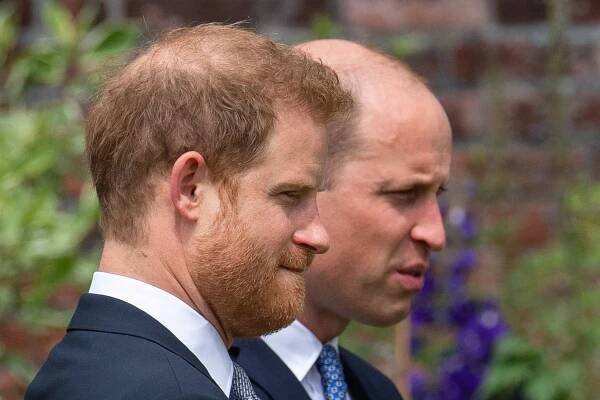 Princ Harry a princ William na odhalení sochy jejich matky Diany.