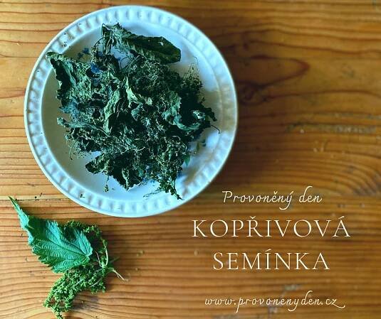 Kopřivová semínka