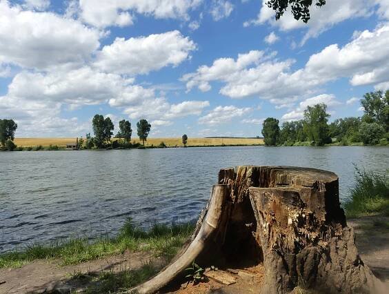 Fotografie - Ponětovický rybník - 30.06.2020
