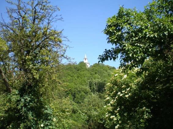 Značená trasa 1010 (U Matěje... - Trasa