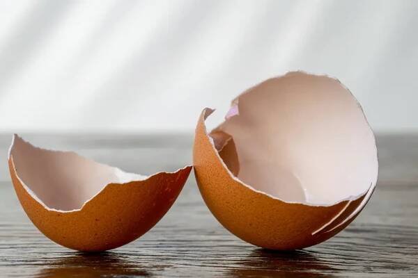 What Is an “Eggshell Plaintiff” Rule?