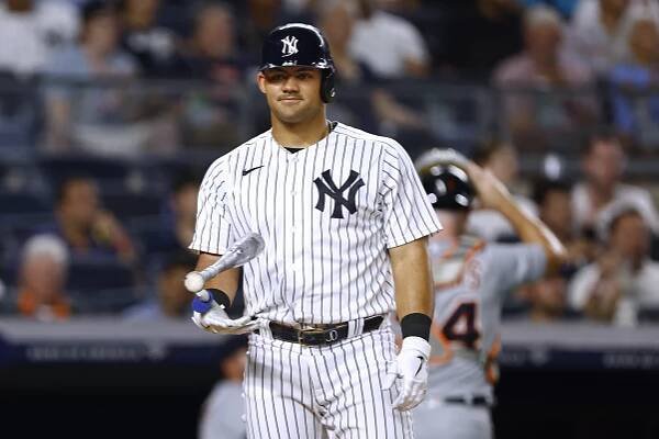 Jasson Dominguez has a torn UCL, Yankees manager Aaron Boone revealed after the team's win over the Brewers on Sunday.