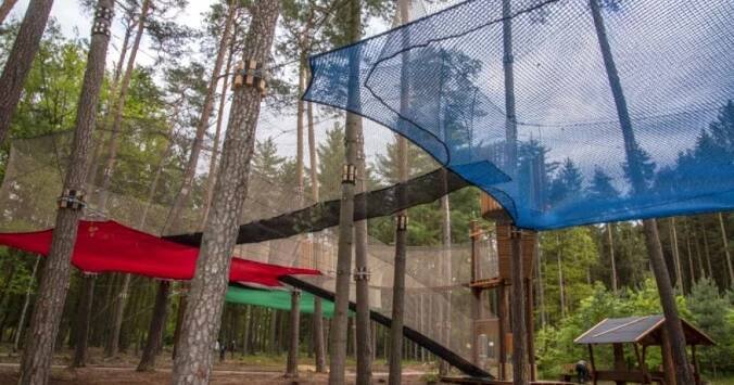 V korunách borového lesa v Hradci Králové se projdete ojedinělou síťovou stezkou „Na větvi“