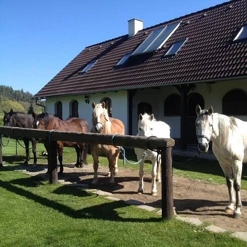 Gallery image of Farma Malenice in Malenitz