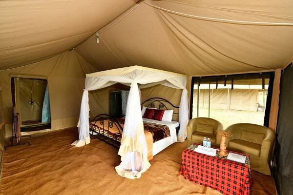 Serengeti Wild Camp - Best Safari Camping Lodge In Serengeti, Tanzania