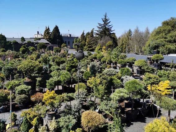 Miniarboretum U Holubů ve Staříči.