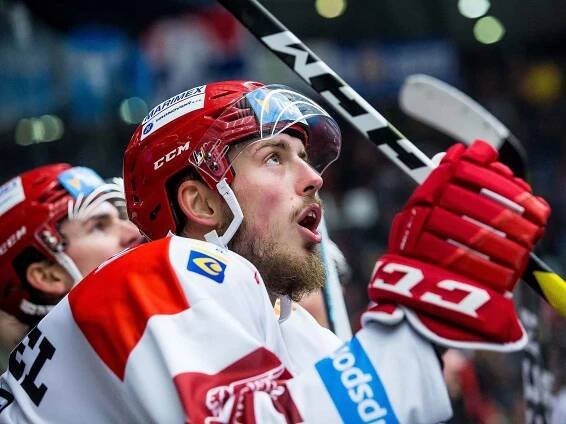 Hokejová extraliga: Mountfield HK - HC Kometa Brno.