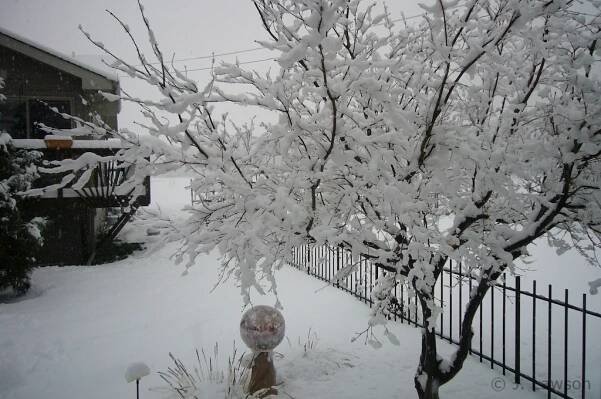 Winter – SCRIOBHAIM