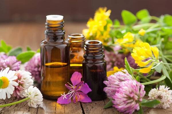 Přírodní vs. syntetické oleje: Jaká varianta se hodí pro aromaterapii? - Vitio.cz Blog
