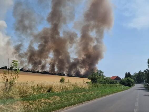 STALO SE: Požár pole u Libčevsi zasáhl plochu o velikosti 20 ha
