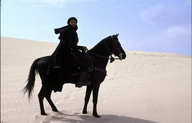 Sahara - Z filmu - Lambert Wilson