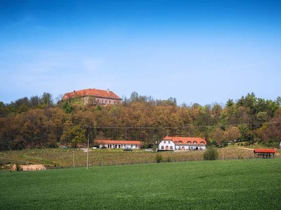 Jediné vinařství na Vysočině se nachází na svazích pod hradem Sádek. 