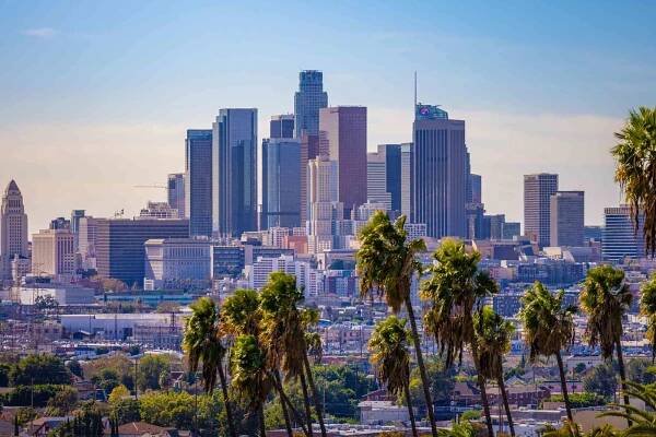 A view of downtown Los Angeles California with palm trees in the foreground