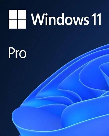Windows 11 Pro OEM