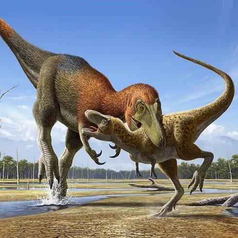 Study Aims to Bring Nanotyrannus, a Tinier Tyrannosaur, Back From Oblivion