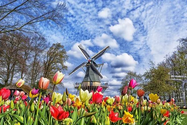 17. Květinový park Keukenhof