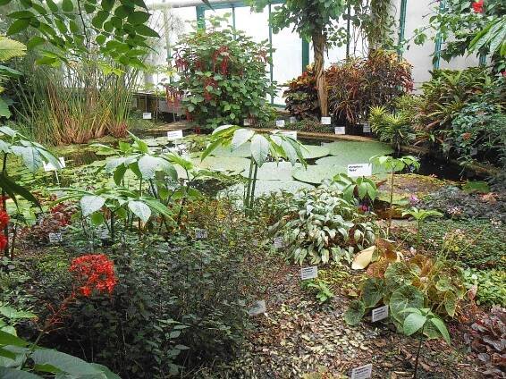 Liberec 2: Botanická zahrada