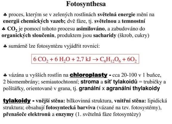 PPT - Dýchací řetězec PowerPoint Presentation, free download - ID:3744522