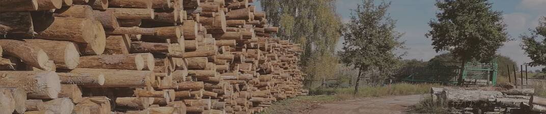 prodej palivove drevo ceske budejovice