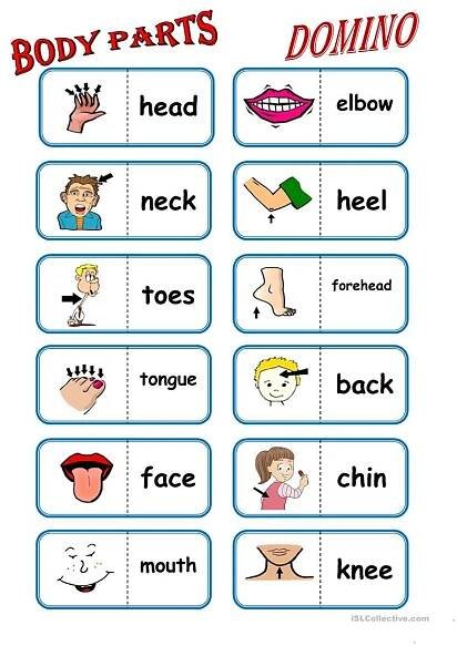 body parts worksheet with pictures and words to help students learn how to use them