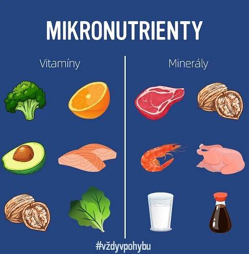 Mikronutrienty a co byste o nich měli vědět - www.josport.cz