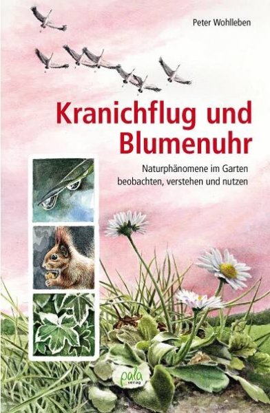 Kranichflug und Blumenuhr - Wohlleben Peter - Megaknihy.cz