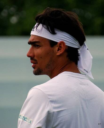 Fabio Fognini - Wikipedia