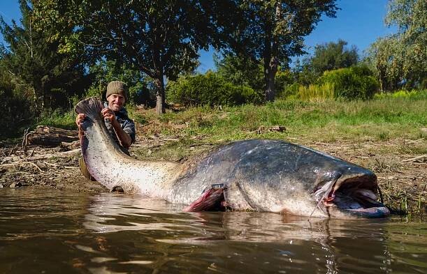 Vágner má nový český rekord, na Vranově chytil sumce dlouhého 264 centimetrů